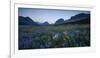 Wildflowers Along the Rocky Mountain Front. Glacier National Park, Montana-Steven Gnam-Framed Photographic Print