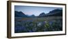 Wildflowers Along the Rocky Mountain Front. Glacier National Park, Montana-Steven Gnam-Framed Photographic Print
