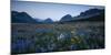 Wildflowers Along the Rocky Mountain Front. Glacier National Park, Montana-Steven Gnam-Mounted Photographic Print