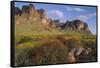 Wildflowers and Cliffs in Desert-DLILLC-Framed Stretched Canvas