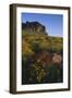 Wildflowers and Cliffs in Desert-DLILLC-Framed Photographic Print