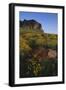 Wildflowers and Cliffs in Desert-DLILLC-Framed Photographic Print