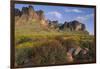 Wildflowers and Cliffs in Desert-DLILLC-Framed Photographic Print