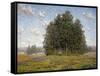 Wildflowers and Eucalyptus-Granville Redmond-Framed Stretched Canvas