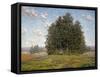 Wildflowers and Eucalyptus-Granville Redmond-Framed Stretched Canvas