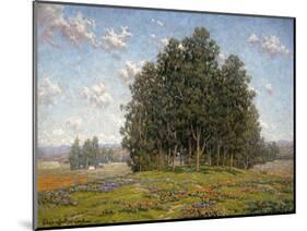 Wildflowers and Eucalyptus-Granville Redmond-Mounted Art Print