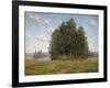 Wildflowers and Eucalyptus-Granville Redmond-Framed Art Print