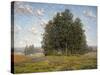 Wildflowers and Eucalyptus-Granville Redmond-Stretched Canvas