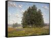 Wildflowers and Eucalyptus-Granville Redmond-Framed Stretched Canvas