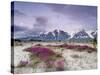 Wildflowers and Fairweather Range, Alsek River Valley, Alaska, USA-Don Paulson-Stretched Canvas