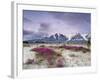 Wildflowers and Fairweather Range, Alsek River Valley, Alaska, USA-Don Paulson-Framed Photographic Print