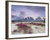 Wildflowers and Fairweather Range, Alsek River Valley, Alaska, USA-Don Paulson-Framed Photographic Print