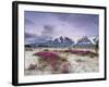 Wildflowers and Fairweather Range, Alsek River Valley, Alaska, USA-Don Paulson-Framed Photographic Print