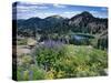 Wildflowers and Lake Catherine, Pioneer Peak, Uinta Wasatch Nf, Utah-Howie Garber-Stretched Canvas