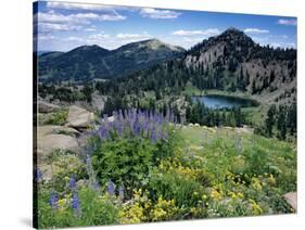 Wildflowers and Lake Catherine, Pioneer Peak, Uinta Wasatch Nf, Utah-Howie Garber-Stretched Canvas