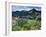 Wildflowers and Lake Catherine, Pioneer Peak, Uinta Wasatch Nf, Utah-Howie Garber-Framed Premium Photographic Print