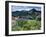 Wildflowers and Lake Catherine, Pioneer Peak, Uinta Wasatch Nf, Utah-Howie Garber-Framed Photographic Print