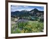 Wildflowers and Lake Catherine, Pioneer Peak, Uinta Wasatch Nf, Utah-Howie Garber-Framed Photographic Print