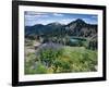 Wildflowers and Lake Catherine, Pioneer Peak, Uinta Wasatch Nf, Utah-Howie Garber-Framed Photographic Print