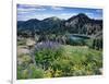 Wildflowers and Lake Catherine, Pioneer Peak, Uinta Wasatch Nf, Utah-Howie Garber-Framed Photographic Print