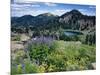 Wildflowers and Lake Catherine, Pioneer Peak, Uinta Wasatch Nf, Utah-Howie Garber-Mounted Photographic Print