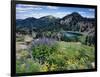 Wildflowers and Lake Catherine, Pioneer Peak, Uinta Wasatch Nf, Utah-Howie Garber-Framed Photographic Print