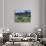 Wildflowers and Lake Catherine, Pioneer Peak, Uinta Wasatch Nf, Utah-Howie Garber-Photographic Print displayed on a wall