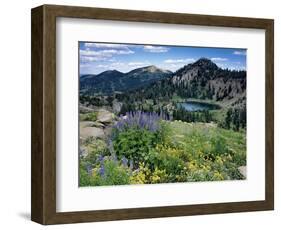 Wildflowers and Lake Catherine, Pioneer Peak, Uinta Wasatch Nf, Utah-Howie Garber-Framed Photographic Print
