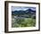 Wildflowers and Lake Catherine, Pioneer Peak, Uinta Wasatch Nf, Utah-Howie Garber-Framed Photographic Print