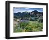 Wildflowers and Lake Catherine, Pioneer Peak, Uinta Wasatch Nf, Utah-Howie Garber-Framed Photographic Print