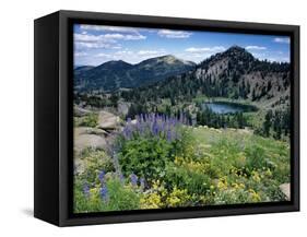 Wildflowers and Lake Catherine, Pioneer Peak, Uinta Wasatch Nf, Utah-Howie Garber-Framed Stretched Canvas
