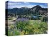 Wildflowers and Lake Catherine, Pioneer Peak, Uinta Wasatch Nf, Utah-Howie Garber-Stretched Canvas