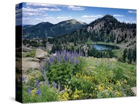 Wildflowers and Lake Catherine, Pioneer Peak, Uinta Wasatch Nf, Utah-Howie Garber-Stretched Canvas
