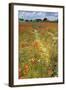 Wildflowers and Legumes on Set-Aside Field in Rural Landscape-null-Framed Photographic Print