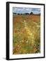 Wildflowers and Legumes on Set-Aside Field in Rural Landscape-null-Framed Photographic Print