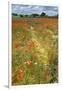 Wildflowers and Legumes on Set-Aside Field in Rural Landscape-null-Framed Photographic Print