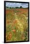 Wildflowers and Legumes on Set-Aside Field in Rural Landscape-null-Framed Photographic Print