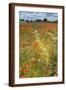 Brown Frame
