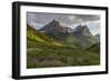 Wildflowers and Mountains. Glacier National Park, Montana, USA.-Tom Norring-Framed Photographic Print