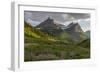 Wildflowers and Mountains. Glacier National Park, Montana, USA.-Tom Norring-Framed Photographic Print