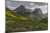 Wildflowers and Mountains. Glacier National Park, Montana, USA.-Tom Norring-Mounted Photographic Print