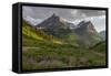 Wildflowers and Mountains. Glacier National Park, Montana, USA.-Tom Norring-Framed Stretched Canvas