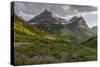 Wildflowers and Mountains. Glacier National Park, Montana, USA.-Tom Norring-Stretched Canvas