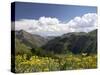 Wildflowers and Mountains Near Cinnamon Pass, Uncompahgre National Forest, Colorado-James Hager-Stretched Canvas