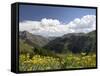 Wildflowers and Mountains Near Cinnamon Pass, Uncompahgre National Forest, Colorado-James Hager-Framed Stretched Canvas