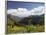 Wildflowers and Mountains Near Cinnamon Pass, Uncompahgre National Forest, Colorado-James Hager-Framed Photographic Print