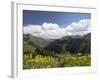 Wildflowers and Mountains Near Cinnamon Pass, Uncompahgre National Forest, Colorado-James Hager-Framed Photographic Print