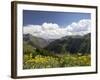 Wildflowers and Mountains Near Cinnamon Pass, Uncompahgre National Forest, Colorado-James Hager-Framed Photographic Print