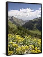 Wildflowers and Mountains Near Cinnamon Pass, Uncompahgre National Forest, Colorado-James Hager-Framed Photographic Print