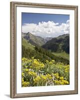 Wildflowers and Mountains Near Cinnamon Pass, Uncompahgre National Forest, Colorado-James Hager-Framed Photographic Print